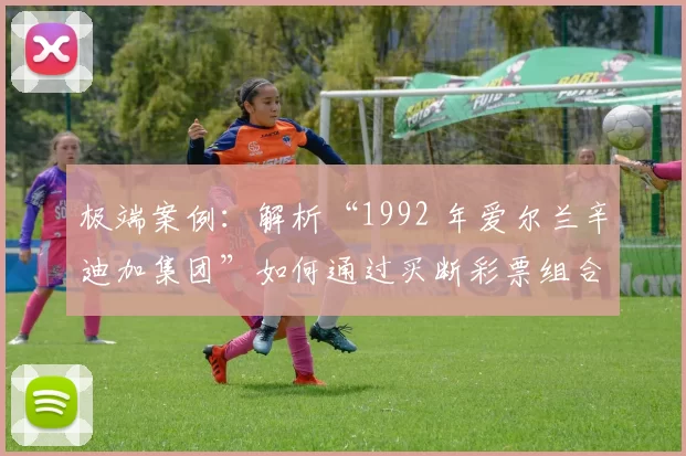 极端案例：解析“1992 年爱尔兰辛迪加集团”如何通过买断彩票组合实现稳赢。（买断彩票组合确保稳赢：1992年爱尔兰辛迪加集团的极端策略解读）