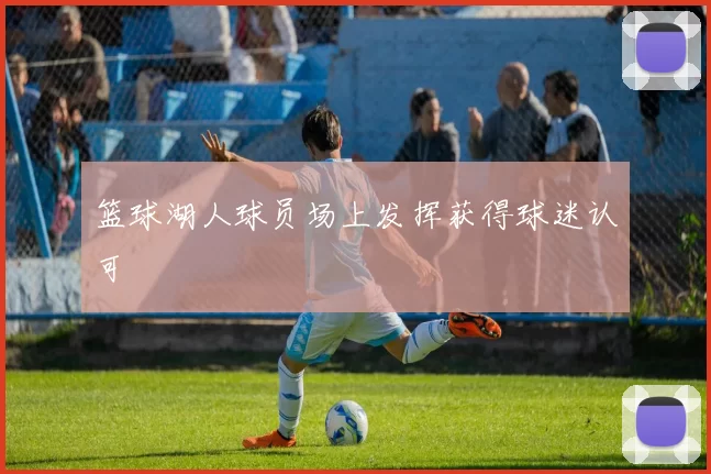 篮球湖人球员场上发挥获得球迷认可