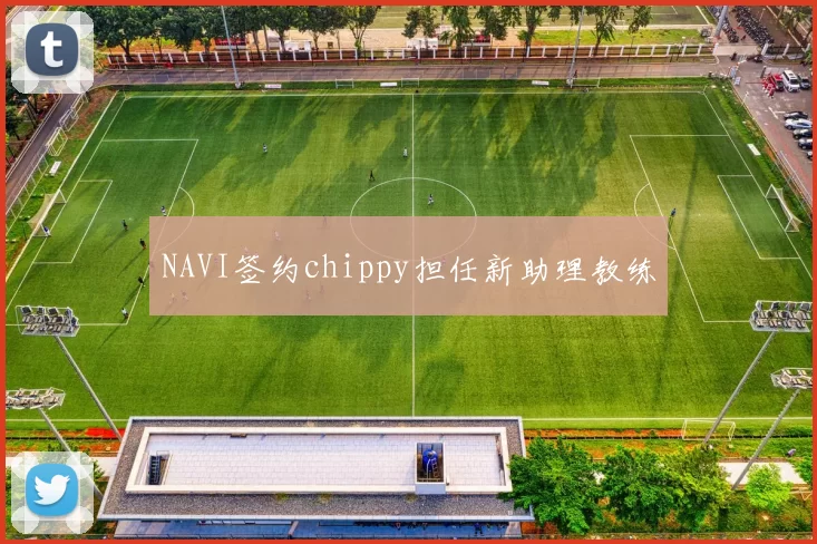 NAVI签约chippy担任新助理教练