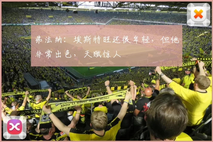 弗法纳：埃斯特旺还很年轻，但他非常出色，天赋惊人