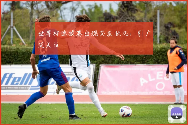 世界杯选拔赛出现突发状况，引广泛关注