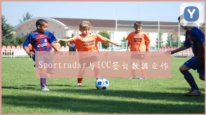 Sportradar与ICC签订数据合作