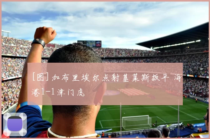 [图]加布里埃尔点射基莱斯扳平 海港1-1津门虎