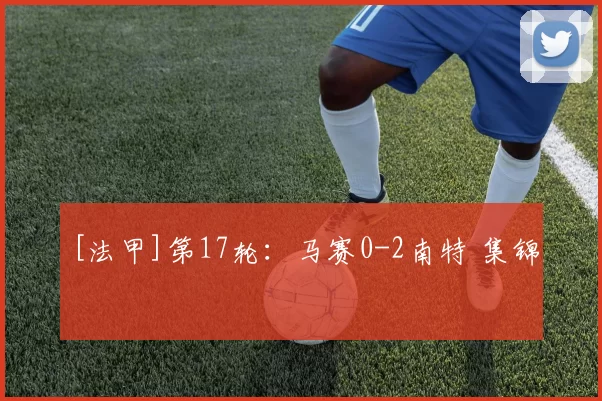 [法甲]第17轮：马赛0-2南特 集锦